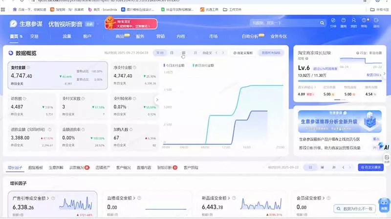 淘宝VIP特训课-更新1031：蓝海选品+付费投放｜短视频AI运营｜大促起爆全流程，破解店铺无流量无利润难题
