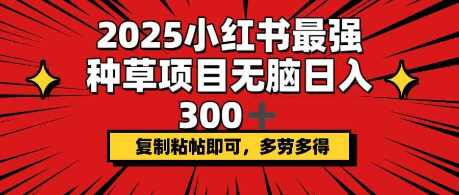 （14375期）2025小红书最强种草项目，无脑日入300+，复制粘帖即可，多劳多得 - 来及网络