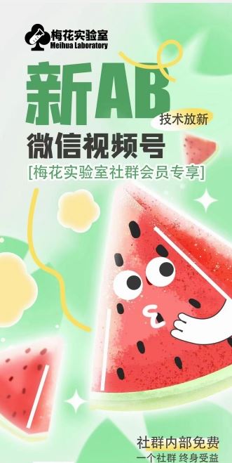 梅花实验室2024年AB技术视频号AB合成破解版 - 来及网络