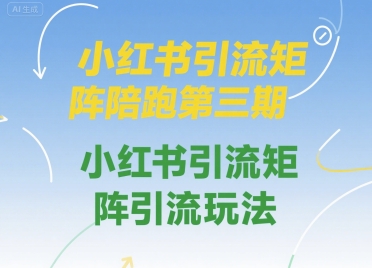 小红书引流矩阵陪跑第三期，小红书引流矩阵引流玩法 - 来及网络
