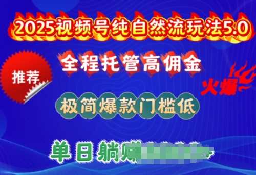 2025视频号纯自然流玩法5.0，全程托管高佣金，极简爆款门槛低，单日收益多张【揭秘】 - 来及网络