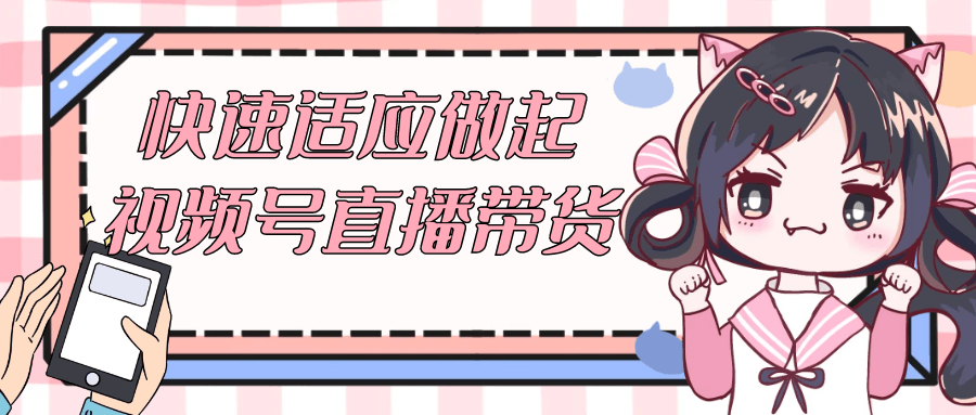 快速适应做起视频号直播带货 - 来及网络