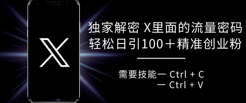独家解密 X 里面的流量密码，复制粘贴轻松日引100+ - 来及网络