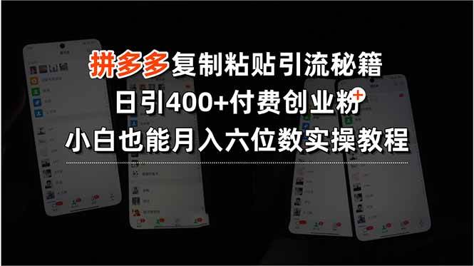 （15613期）拼多多复制粘贴引流秘籍，日引400+付费创业粉，小白也能月入六位数实操… - 来及网络