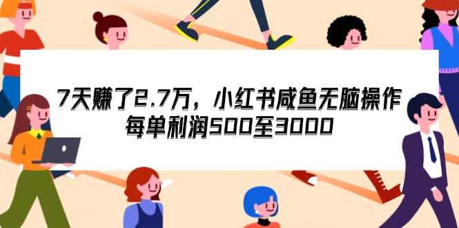 （12192期）7天收了2.7万，小红书咸鱼无脑操作，每单利润500至3000 - 来及网络