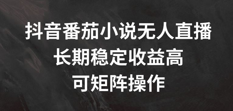 抖音番茄小说无人直播，长期稳定收益高，可矩阵操作【揭秘】 - 来及网络