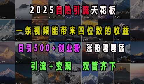 2025自热引流天花板，一条视频能带来四位数的收益，引流+变现双管齐下，日引500+创业粉，涨粉嘎嘎猛 - 来及网络