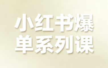 尼采老师·小红书爆单系列课 - 来及网络