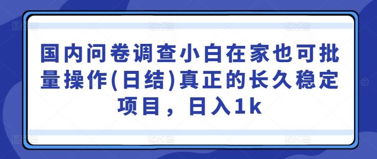国内问卷调查小白在家也可批量操作(日结)真正的长久稳定项目，日入1k【揭秘】 - 来及网络