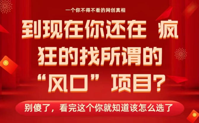 马上26年了，你还在找所谓的风口项目？别傻了，看完这个你全都懂了！【揭秘】 - 来及网络