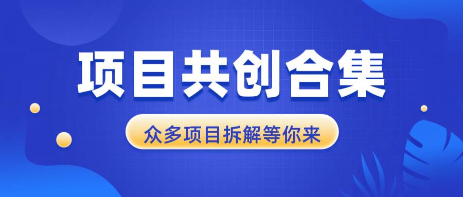 （13778期）项目共创合集，从0-1全过程拆解，让你迅速找到适合自已的项目 - 来及网络