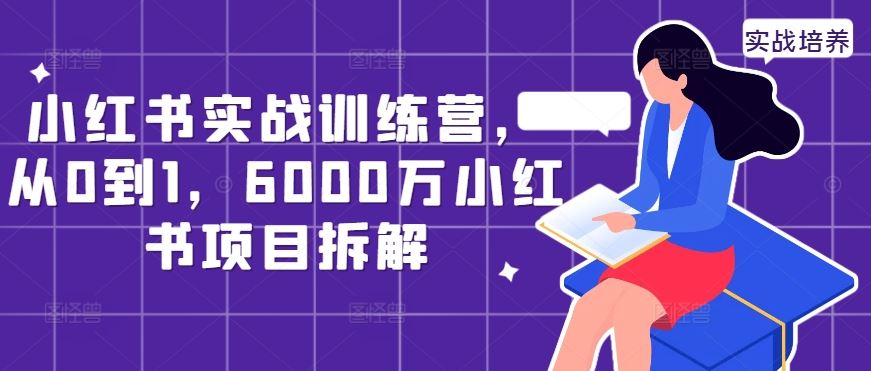 小红书实战训练营，从0到1，6000万小红书项目拆解 - 来及网络