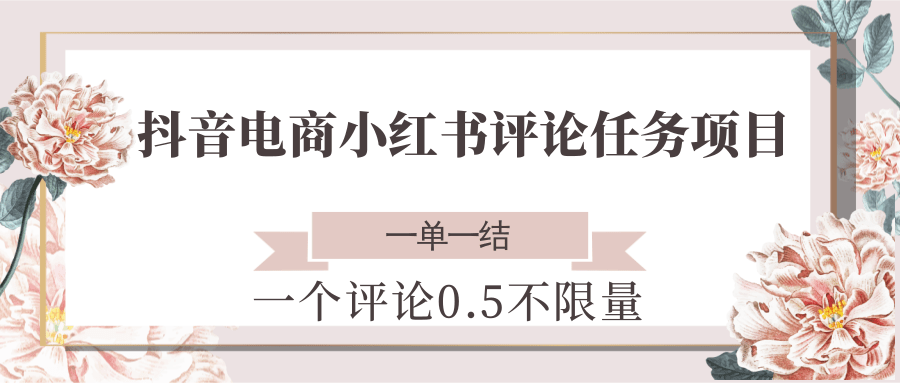 抖音电商小红书评论任务项目，一个评论0.5，一单一结 不限量 - 来及网络