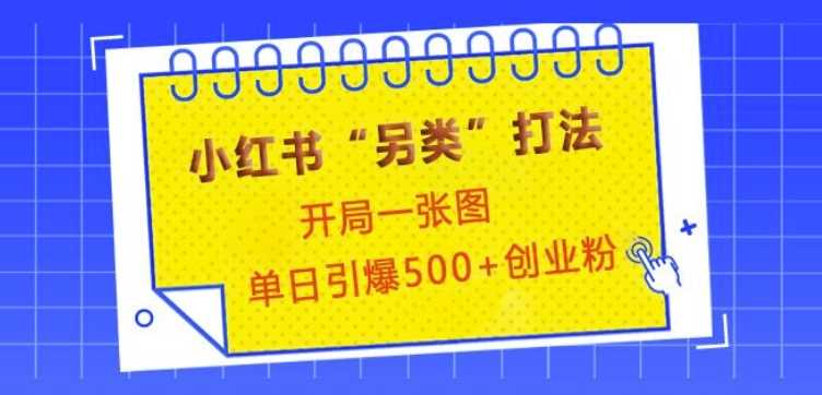 小红书“另类”打法，开局一张图，单日引爆500+精准创业粉【揭秘】 - 来及网络