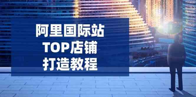 阿里国际站TOP店铺打造教程：涵盖平台到高阶，解决运营难题，提升询盘 - 来及网络