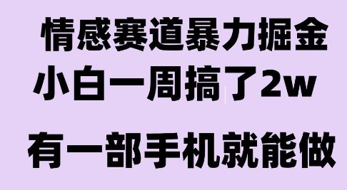 情感暴力掘金项目，新人操作一周挣了2W，长期稳定小白可做【揭秘】 - 来及网络