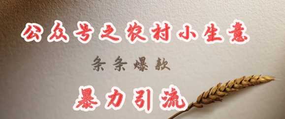 deepseek写农村小项目，条条爆款，暴力引流 - 来及网络