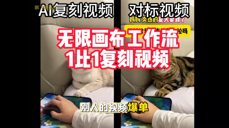 宠物带货视频复刻，无限画布工作流1比1，不用拍摄、不用布景、不用真人出镜，几分钟就能做出一条专业带货视频 - 来及网络