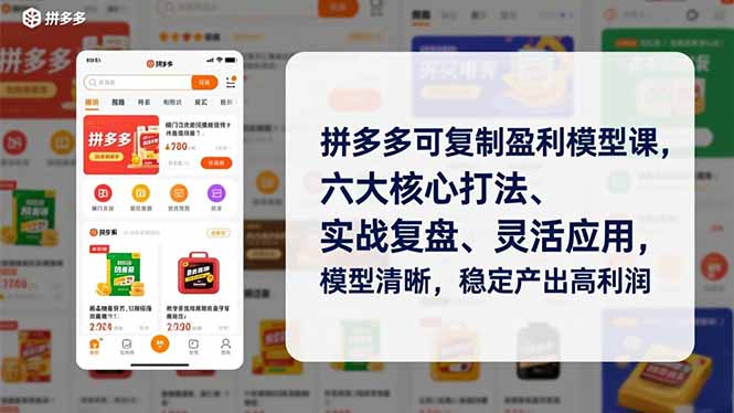 拼多多可复制盈利模型课，六大核心打法、实战复盘、灵活应用，模型清晰，稳定产出高利润 - 来及网络