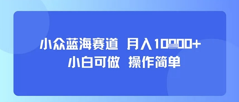 小众蓝海赛道，小白可做，操作简单，每天30分钟，月入1W+ - 来及网络