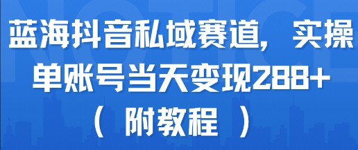 蓝海抖音私域赛道，实操单账号当天变现288+(附教程) - 来及网络