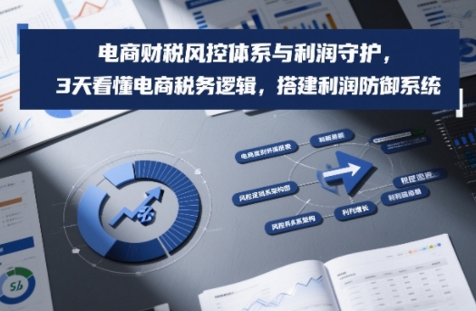 电商财税风控体系与利润守护，3天看懂电商税务逻辑，搭建利润防御系统 - 来及网络