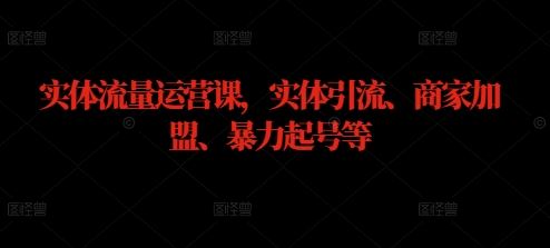 实体流量运营课，实体引流、商家加盟、暴力起号等 - 来及网络