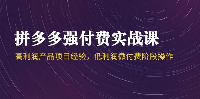 （14874期）拼多多强付费实战课-44期，高利润产品项目经验，低利润微付费阶段操作 - 来及网络