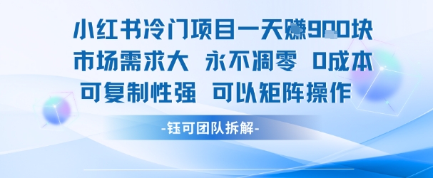 小红书冷门项目一天收益9张，市场需求大，0成本，可复制性强可以矩阵操作 - 来及网络