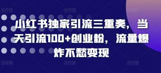 小红书独家引流三重奏，当天引流100+创业粉，流量爆炸不愁变现【揭秘】 - 来及网络