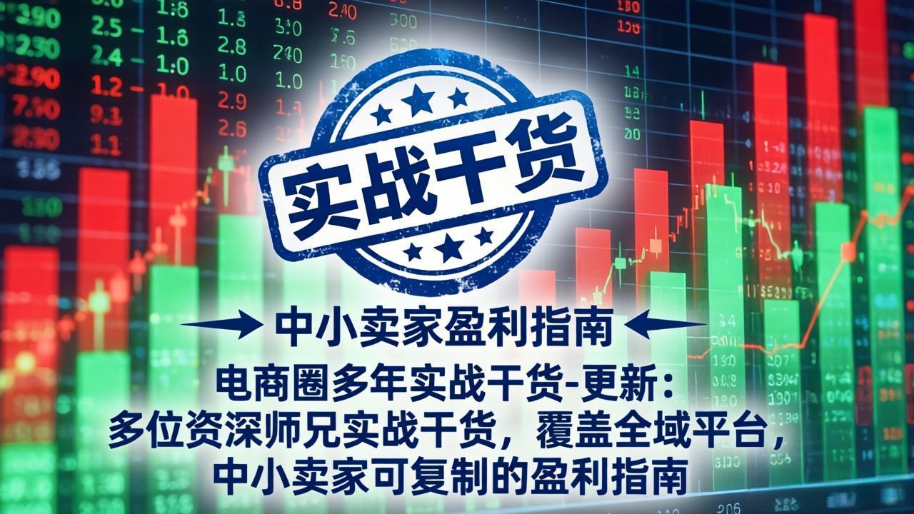电商圈多年实战干货-更新5月10：多位资深师兄实战干货/覆盖全域平台，中小卖家可复制的盈利指南 - 来及网络