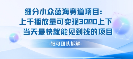 小众蓝海赛道项目：当天变现1k+适合新手操作 +适合长期玩 - 来及网络