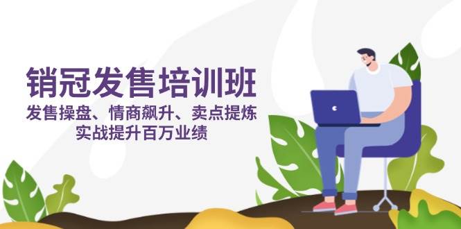 （14203期）销冠 发售培训班：发售 操盘+情商 飙升+卖点 提炼，实战提升百万业绩 - 来及网络