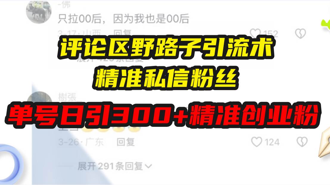 （13676期）评论区野路子引流术，精准私信粉丝，单号日引流300+精准创业粉 - 来及网络