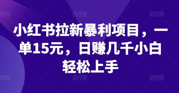 小红书拉新暴利项目，一单15元，日赚几千小白轻松上手【揭秘】 - 来及网络