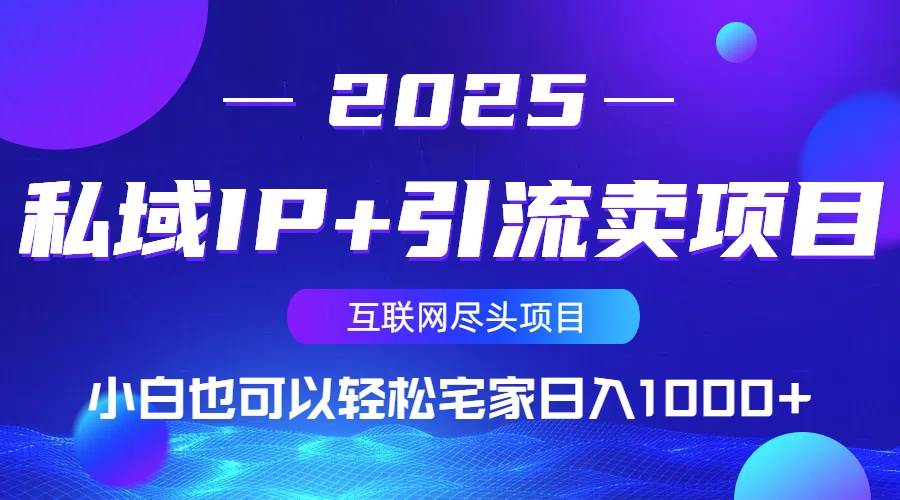（14151期）私域IP+引流卖项目，小白也可以做到轻松宅家日入1000+ - 来及网络