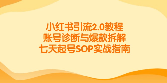 小红书引流2.0教程，账号诊断与爆款拆解，七天起号SOP实战指南 - 来及网络