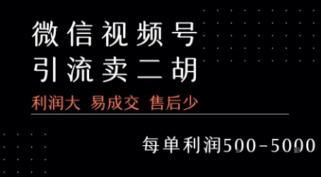 视频号卖二胡教程，利润大 易成交 售后少，一单利润5张+ - 来及网络