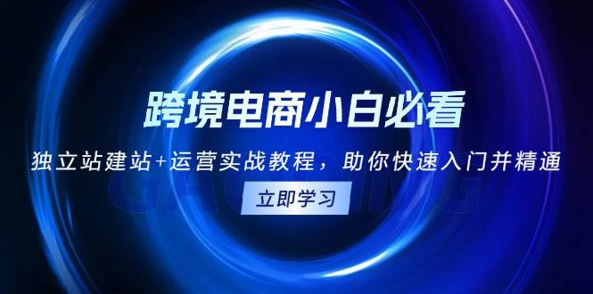 （13503期）跨境电商小白必看！独立站建站+运营实战教程，助你快速入门并精通 - 来及网络