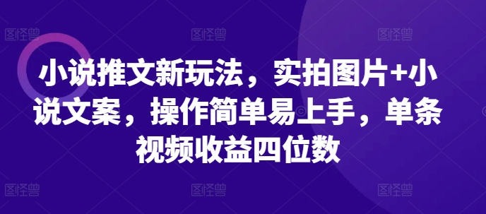 小说推文新玩法，实拍图片+小说文案，操作简单易上手，单条视频收益四位数 - 来及网络