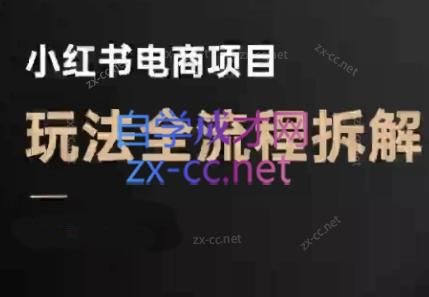 菲菲老师·小红书电商玩法(更新9月) - 来及网络