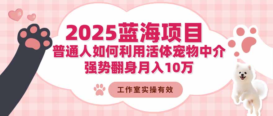 2025蓝海项目：普通人如何利用活体宠物中介，强势翻身月入10万 - 来及网络