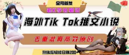 海外tiktok小说推文暴力项目，高停留率，高转化率，上手后一天搞顿饭钱不是问题 - 来及网络