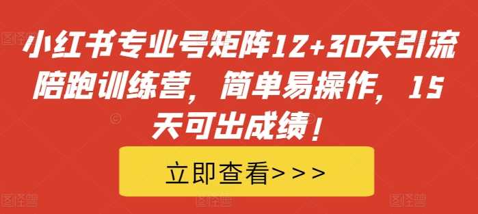 小红书专业号矩阵12+30天引流陪跑训练营，简单易操作，15天可出成绩! - 来及网络