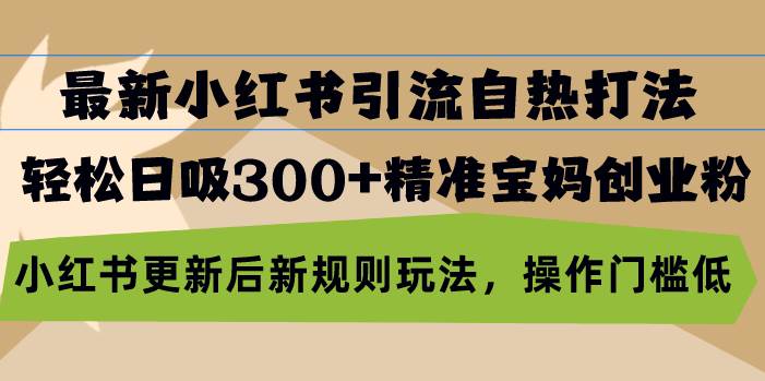 （13145期）最新小红书引流自热打法，轻松日吸300+精准宝妈创业粉，小红书更新后新… - 来及网络