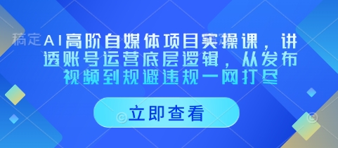 AI高阶自媒体项目实操课，讲透账号运营底层逻辑，从发布视频到规避违规一网打尽 - 来及网络