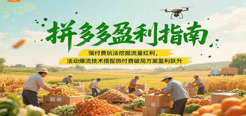 拼多多盈利指南：强付费玩法挖掘流量红利，活动爆流技术搭配微付费方案实现盈利跃升 - 来及网络