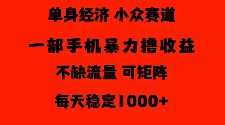 26年暴力单身经济，稳定日入500-1k，不缺流量，流量极大，冷门小众赛道，门槛低小白轻松上手【揭秘】 - 来及网络