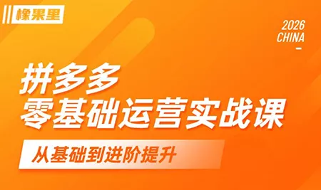 仙道电商·拼多多零基础运营实战课 - 来及网络