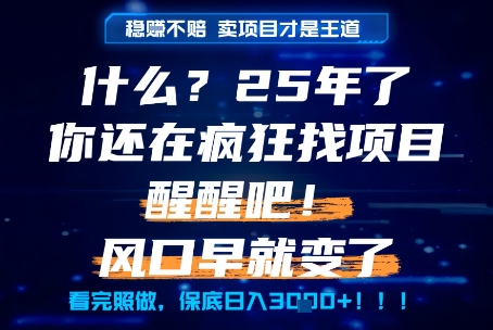 什么？25年你还在疯狂找项目做，醒醒吧，看完这些你全都懂了！【揭秘】 - 来及网络